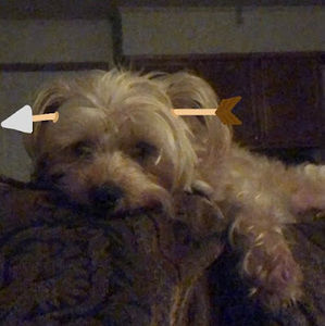 Meet your Posher, Zakiyah